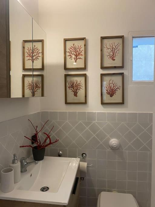 Casa Vacanza Al Duomo: Cefalù Eksteriør billede